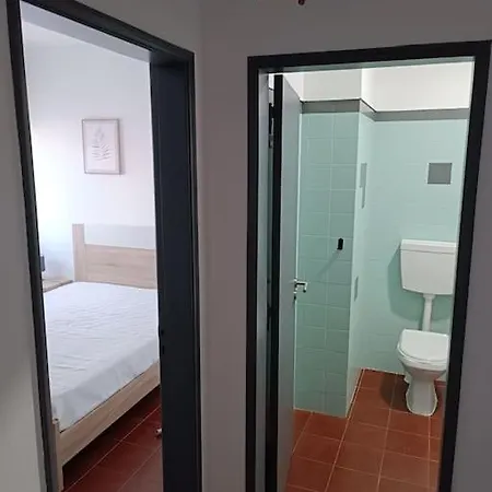 Apartment Rocha House